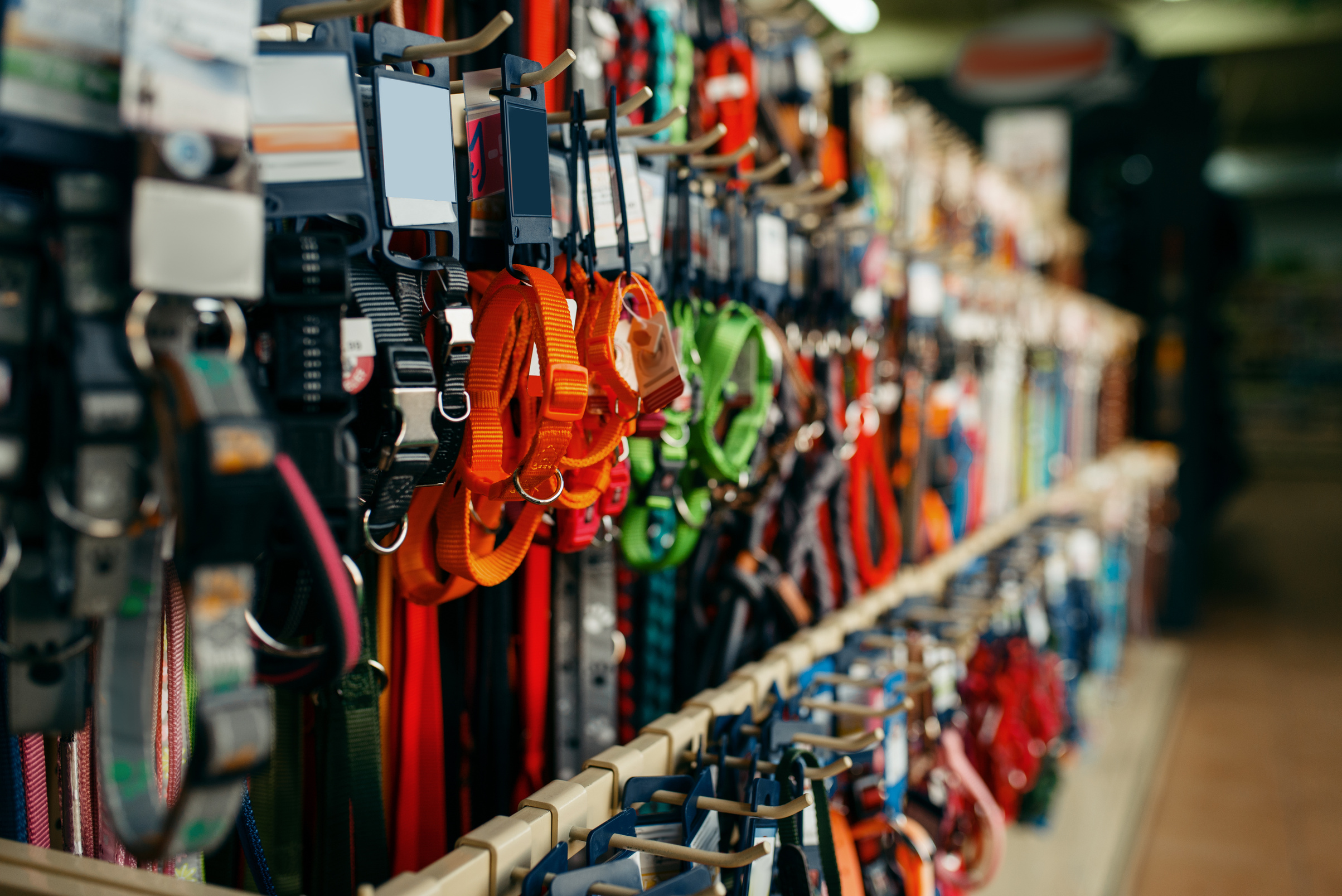 Leashes and Collars Variety on Showcase, Pet Store